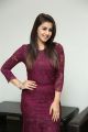 Actress Nikki Galrani Gorgeous Photos in Purple Outfit