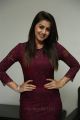 Marakathamani Actress Nikki Galrani Gorgeous Photos in Purple Outfit