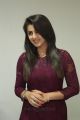 Actress Nikki Galrani Gorgeous Photos in Purple Outfit