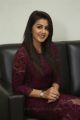 Actress Nikki Galrani Photos in Purple Dress @ Marakathamani Movie Interview