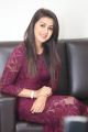 Actress Nikki Galrani Photos in Purple Dress @ Marakathamani Movie Interview