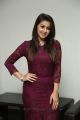 Actress Nikki Galrani Photos in Purple Dress @ Marakathamani Movie Interview