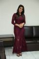 Actress Nikki Galrani Gorgeous Photos in Purple Outfit