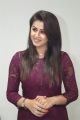 Actress Nikki Galrani Gorgeous Photos in Purple Outfit