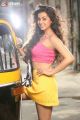 Tamil Heroine Nikki Galrani Hot Photoshoot Stills