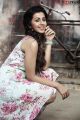 Tamil Actress Nikki Galrani Photoshoot Stills