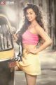 Tamil Actress Nikki Galrani Hot Photoshoot Stills