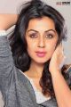 Tamil Actress Nikki Galrani Photoshoot Stills