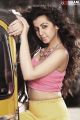 Tamil Actress Nikki Galrani Hot Photoshoot Stills