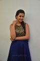 Nikki Galrani Latest Cute Photos @ Maragatha Naanayam Success Meet