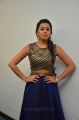 Actress Nikki Galrani Latest Photos @ Maragatha Naanayam Thanks Meet