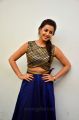 Nikki Galrani Latest Photos @ Maragatha Naanayam Thanks Giving Press Meet