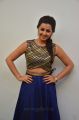 Nikki Galrani Latest Photos @ Maragatha Naanayam Success Meet