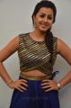 Nikki Galrani Latest Cute Photos @ Maragatha Naanayam Success Meet