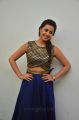 Actress Nikki Galrani Photos @ Maragadha Naanayam Success Meet