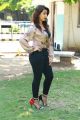 Nikki Galrani New Hot Pics @ Kalakalappu 2 Press Show