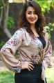 Actress Nikki Galrani New Pics @ Kalakalappu 2 Press Show