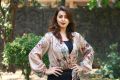 Nikki Galrani New Hot Pics @ Kalakalappu 2 Press Show