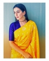 Actress Nikki Galrani New Saree Photoshoot Stills
