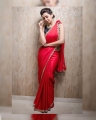 Actress Nikki Galrani New Saree Photoshoot Stills