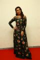 Actress Nikki Galrani New Pictures