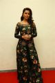 Actress Nikki Galrani New Pictures