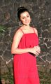 Actress Nikki Galrani Red Dress Pics @ Pakka Teaser Launch