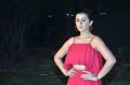 Actress Nikki Galrani Hot Pics @ Pakka Teaser Launch