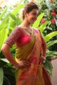 Tamil Actress Nikki Galrani in Silk Saree Photos