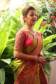 Actress Nikki Galrani Silk Saree Photos @ Neruppu Da Audio Launch