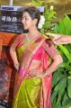 Neruppu Da Actress Nikki Galrani Silk Saree Photos