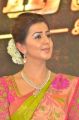 Neruppu Da Actress Nikki Galrani Silk Saree Photos