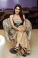 Actress Nikki Tamboli Images @ Kanchana 3 Success Meet