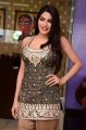 Actress Nikki Tamboli Images @ Kanchana 3 Movie Success Meet