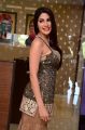 Kanchana 3 Actress Nikki Tamboli Images