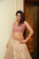 Telugu Actress Nikki Tamboli Pictures @ Sutraa Summer Collection Launch