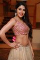 Telugu Actress Nikki Tamboli Pics @ Sutraa Summer Collection Launch