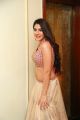 Actress Nikki Tamboli Latest Pictures