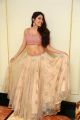 Telugu Actress Nikki Tamboli Pictures @ Sutraa Summer Collection Launch