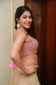 Telugu Actress Nikki Tamboli Pics @ Sutraa Summer Collection Launch