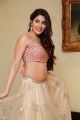 Actress Nikki Tamboli New Pictures