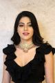 Actress Nikki Tamboli Stills @ Thippara Meesam Pre Release