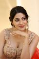 Thippara Meesam Movie Actress Nikki Tamboli Latest Photos