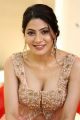 Actress Nikki Tamboli Latest Photos @ Thippara Meesam Press Meet