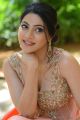 Thippara Meesam Movie Actress Nikki Tamboli Latest Photos