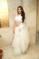 Kanchana 3 Movie Actress Nikki Tamboli White Saree Pics
