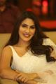 Kanchana 3 Movie Actress Nikki Tamboli White Saree Pics