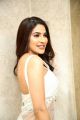 Kanchana 3 Actress Nikki Tamboli Hot in White Saree Pics