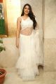 Kanchana 3 Actress Nikki Tamboli Hot in White Saree Pics