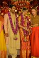 Nimmagadda Prasad Daughter Swathi Pranav Wedding Photos